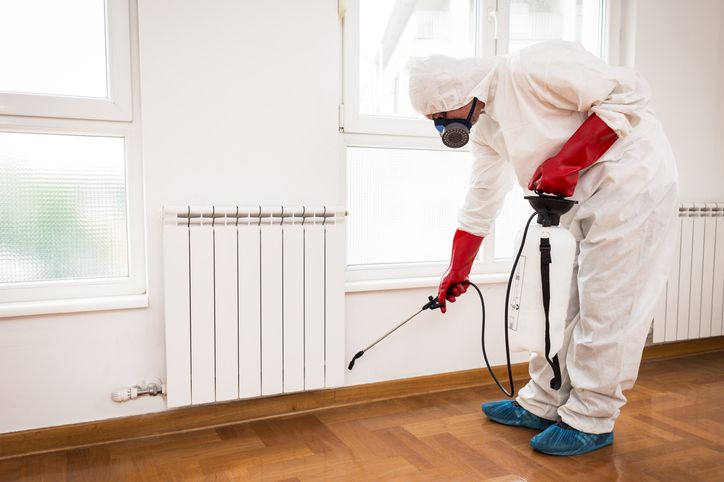 Pest control jobs