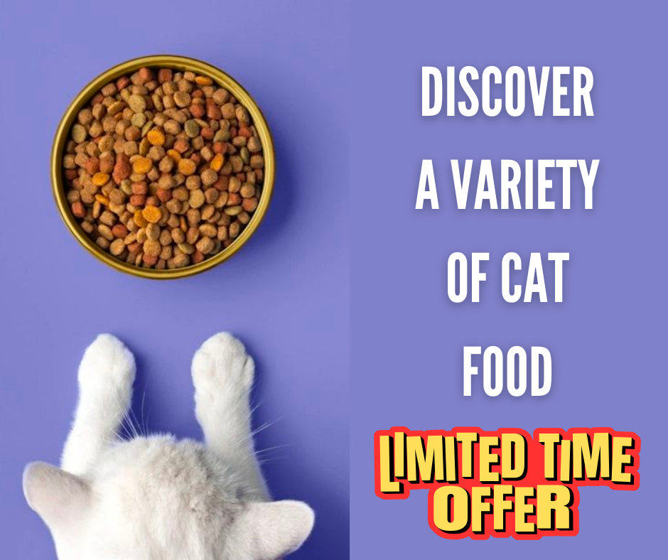 The Feline Feast: A Guide to Cat Food