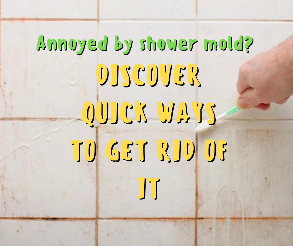 How to clean shower mold quickly