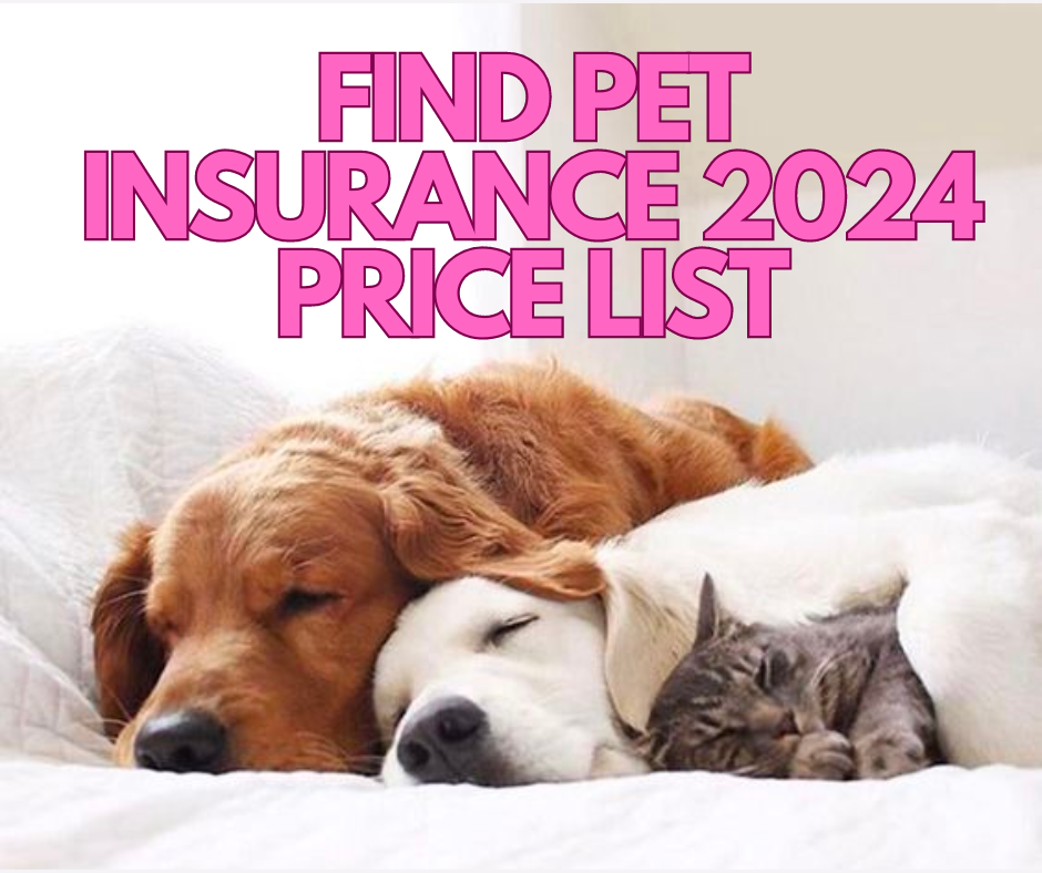 Pet insurance