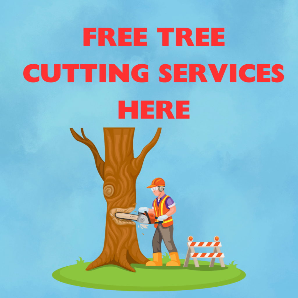 Tree Cutting Professionals: Keeping Your Landscape Healthy