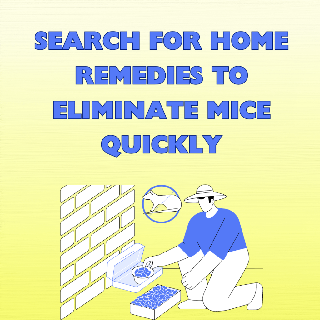 Eradicating those Pesky Mice: Multi-Method Defense