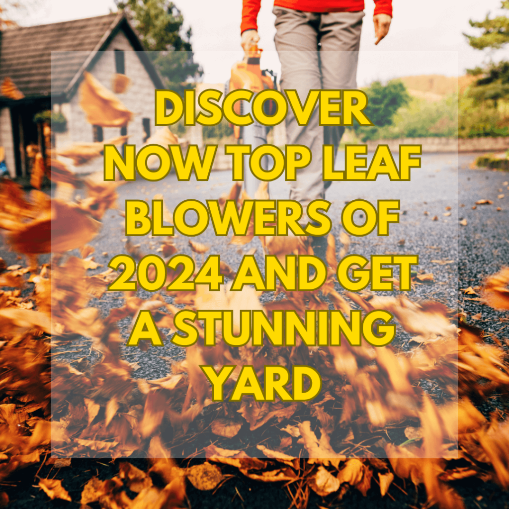 Leaf Blowers: Clearing Leaves the Easy Way